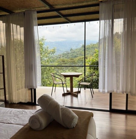 Ardilla Room 2