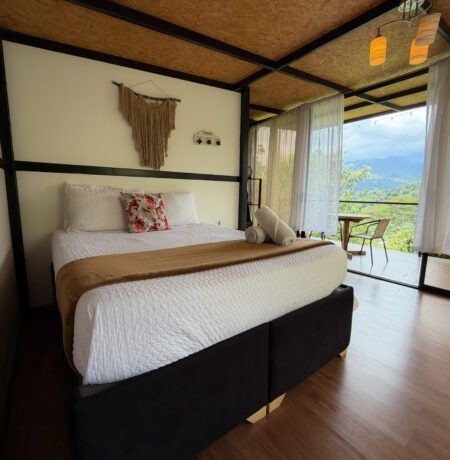 Ardilla Room 3