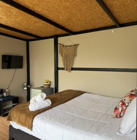 Ardilla room