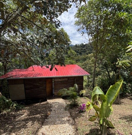 Encanto exterior