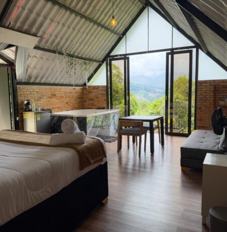 Oso Room 4